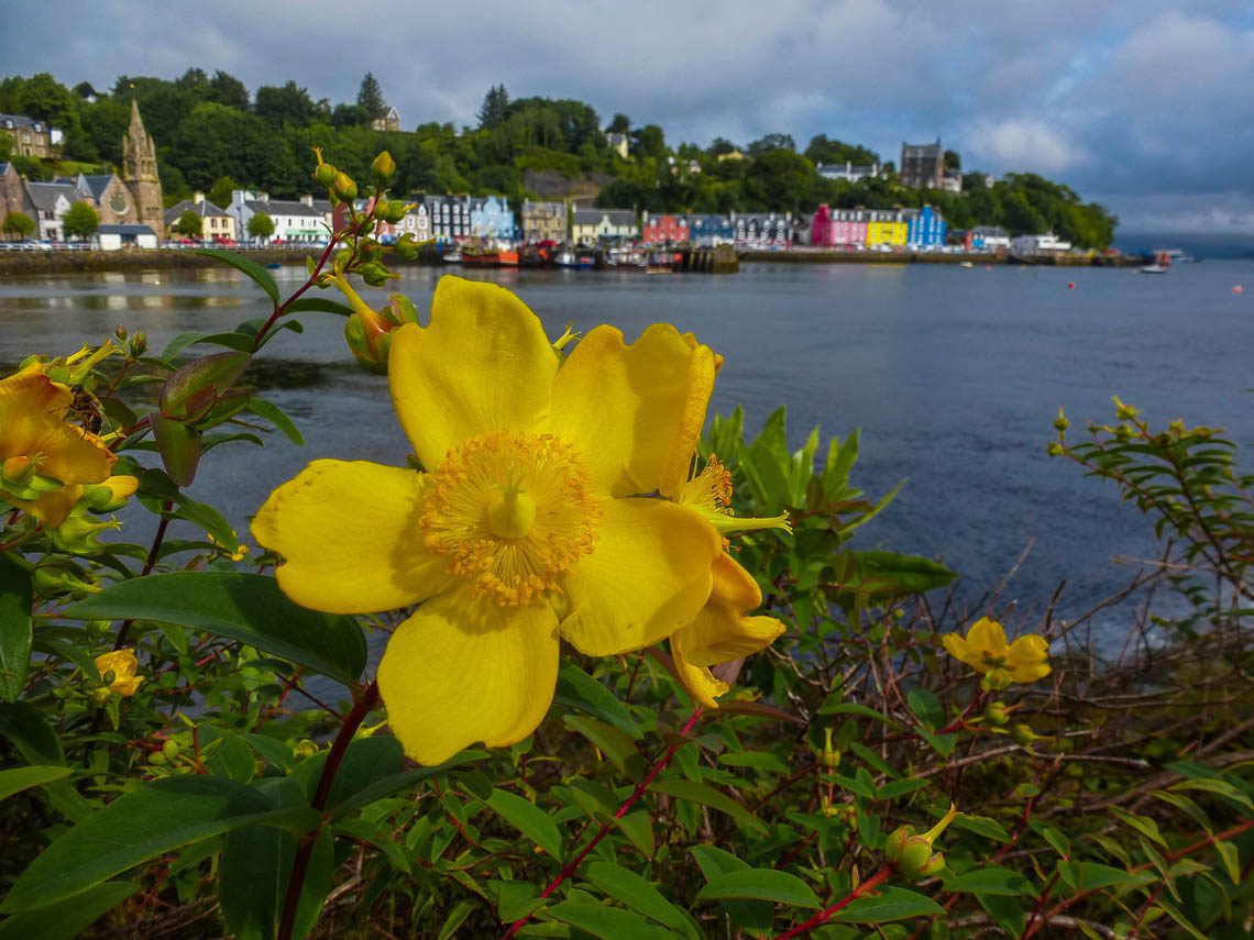 Geheimtipp für Schottland Die Isle of Mull (2)