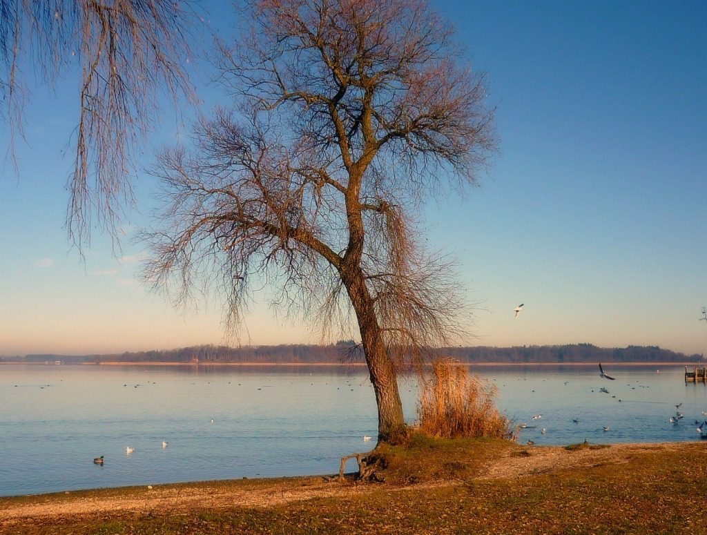 Chiemsee im Winter