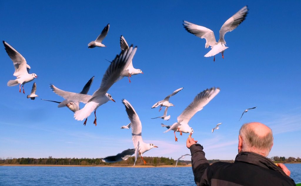 Chiemsee Fährüberfahrt