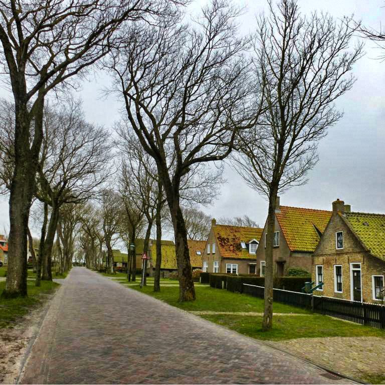 Wellen, Wind und Weite auf Ameland