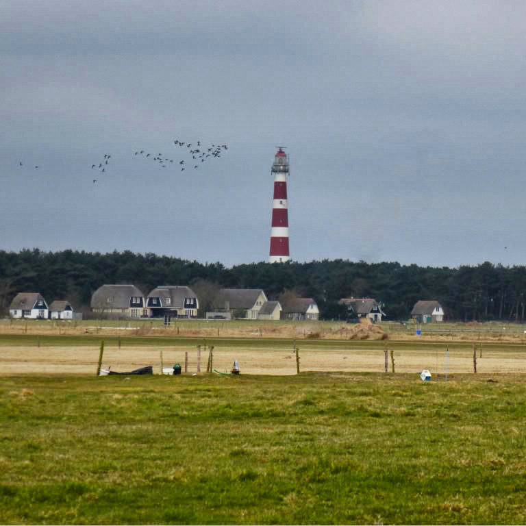 Wellen, Wind und Weite auf Ameland