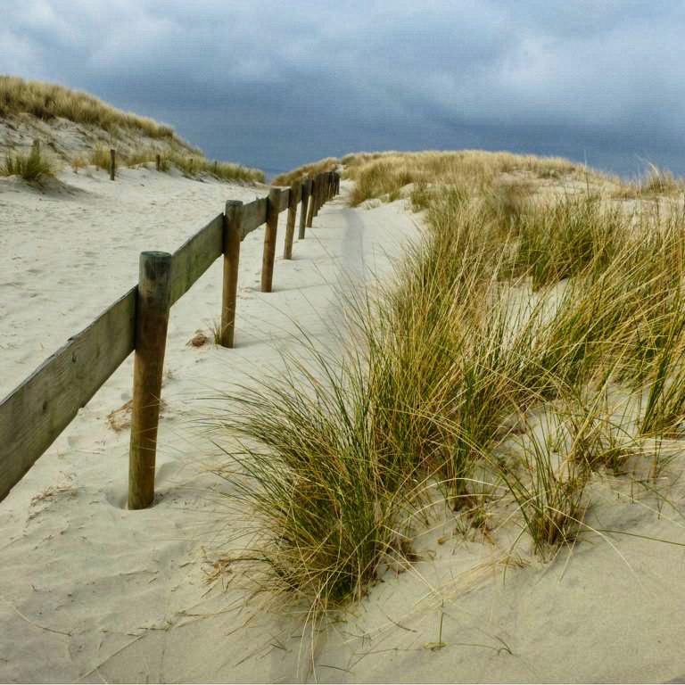 Wellen, Wind und Weite auf Ameland