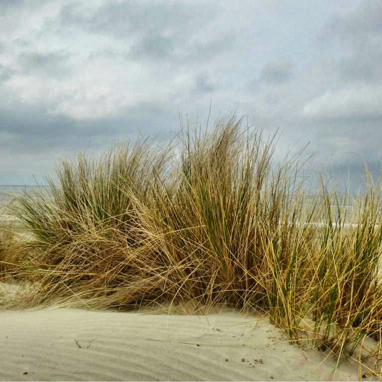 Wellen, Wind und Weite auf Ameland