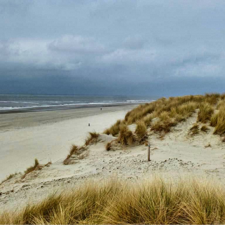Wellen, Wind und Weite auf Ameland