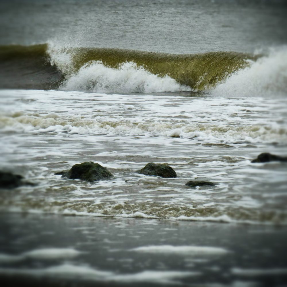 Wellen, Wind und Weite auf Ameland