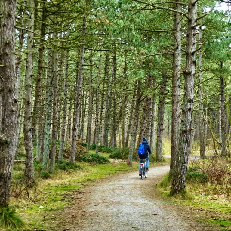 Wellen, Wind und Weite auf Ameland