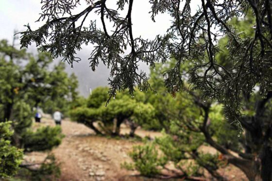 Trekking in Marokko