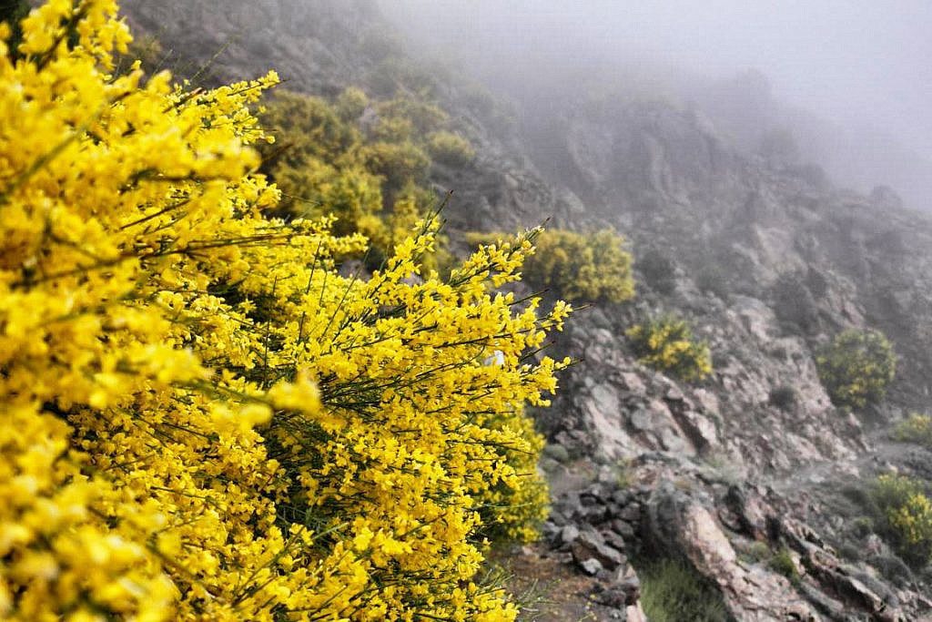 Trekking in Marokko