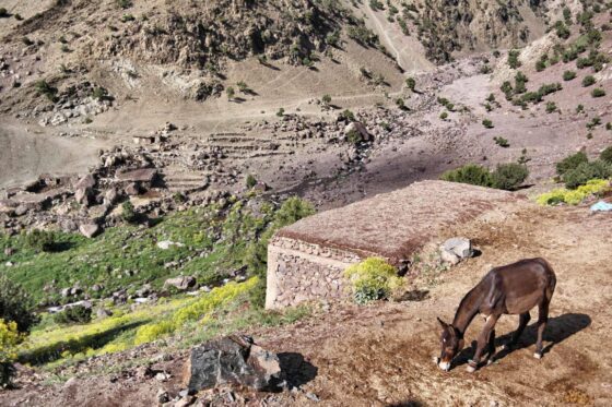 Trekking in Marokko