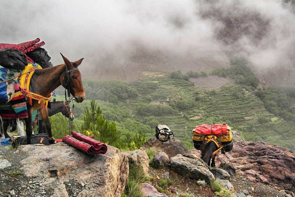 Trekking in Marokko
