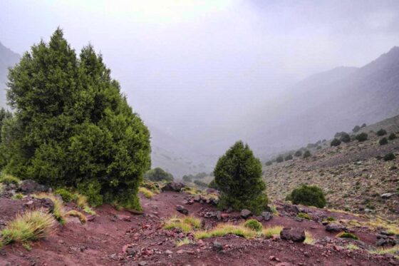 Trekking in Marokko