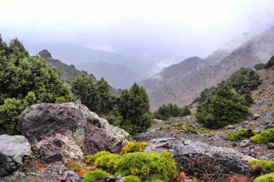 Trekking in Marokko