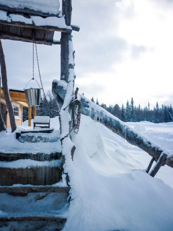 Im Wildnisdorf in Lappland Rentiere, Iglus & kein Strom (7)