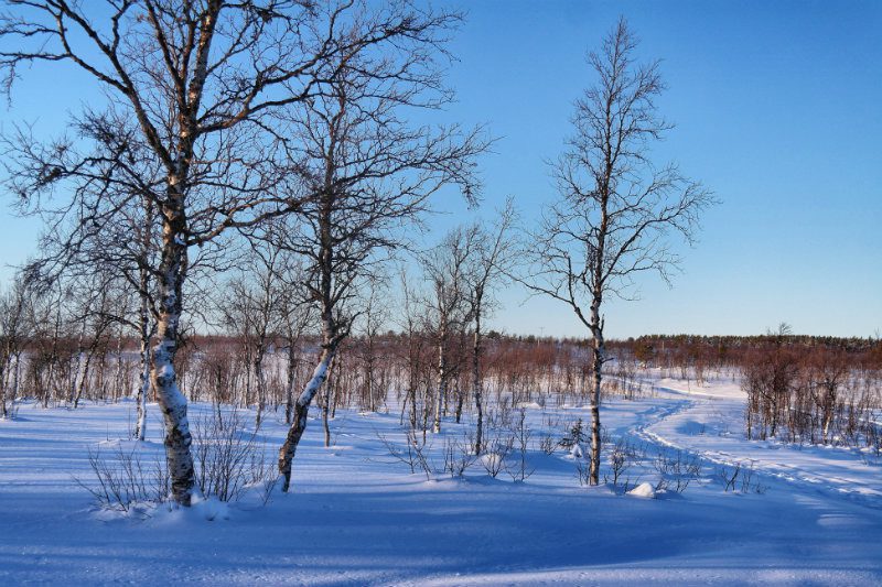 -Schwedisch Lappland Highlights 1