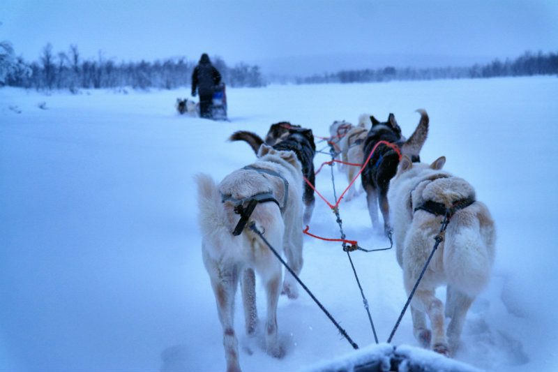 Schwedisch Lappland Highlights