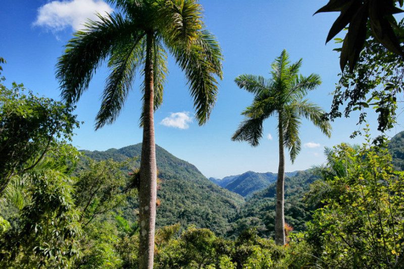 Trinidad Highlights 2
