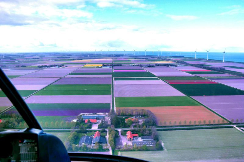 Helkopterflug über die Tulpenfelder (10.1)