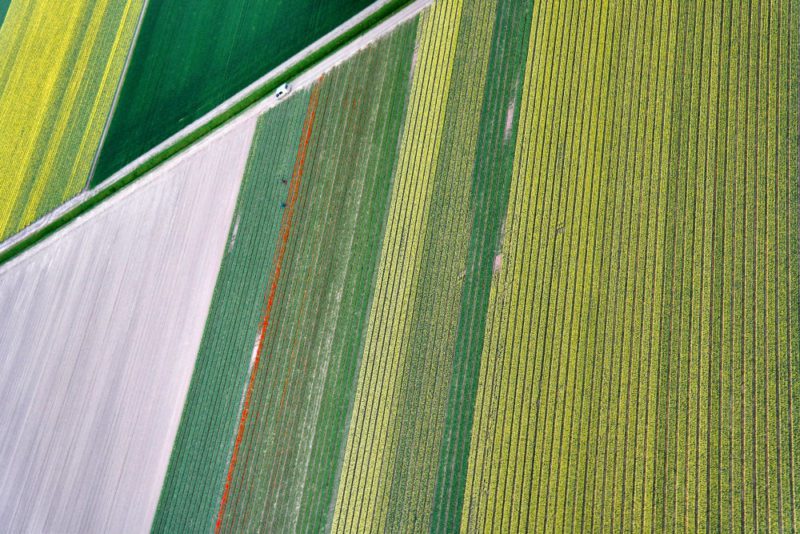 Helkopterflug über die Tulpenfelder (11)