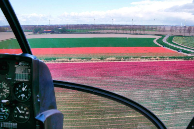 Helkopterflug über die Tulpenfelder (14.4)