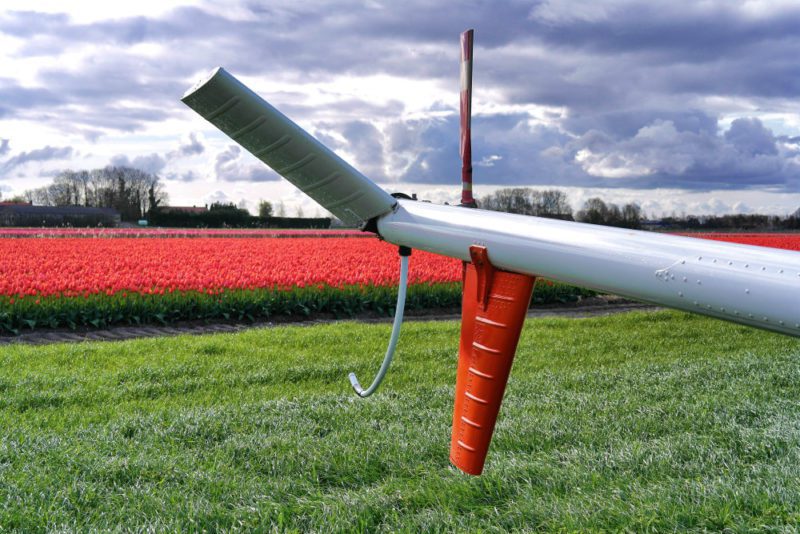 Helkopterflug über die Tulpenfelder (23)
