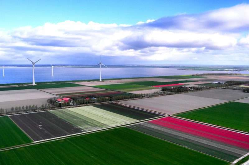 Helkopterflug über die Tulpenfelder (5.2)