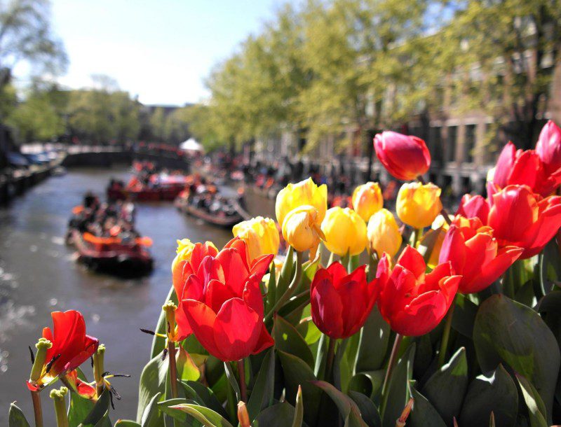 Koningsdag in Amsterdam erleben