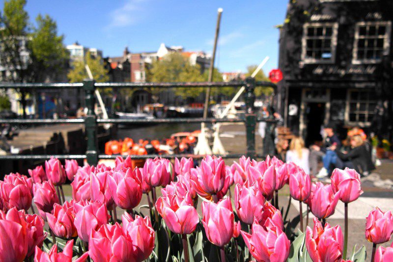 Koningsdag in Amsterdam erleben
