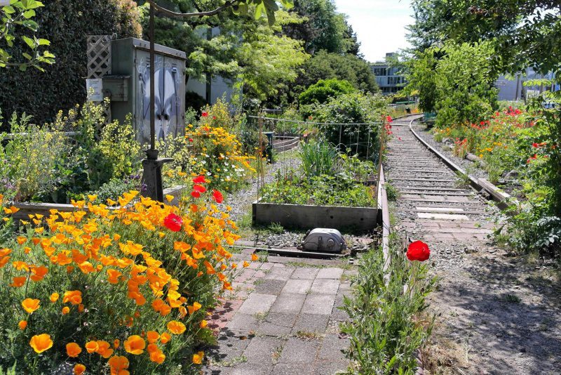 24 Stunden in Vancouver - auf kulinarischen Pfaden (7)