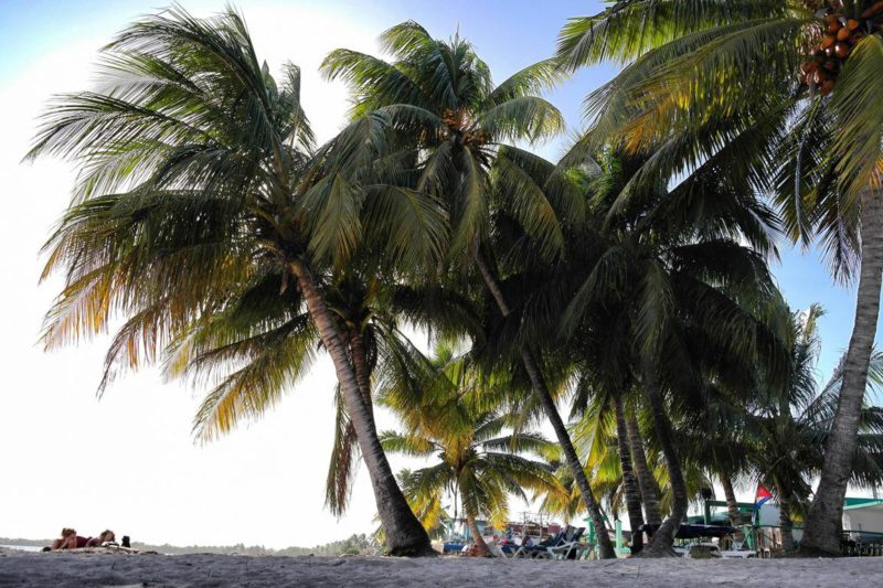 Geheimtipp Playa Larga oder der perfekte Tag auf Kuba (17)