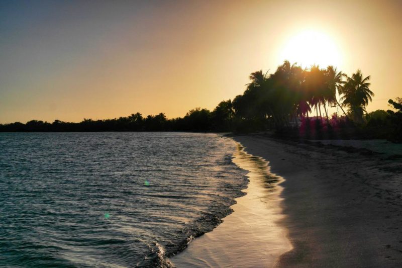 Geheimtipp Playa Larga oder der perfekte Tag auf Kuba (20)