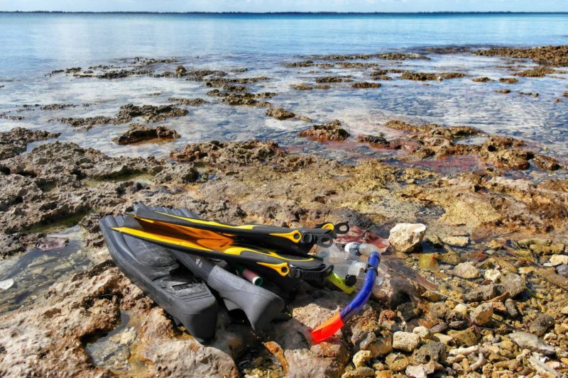 Geheimtipp Playa Larga oder auch: Der perfekte Tag auf Kuba
