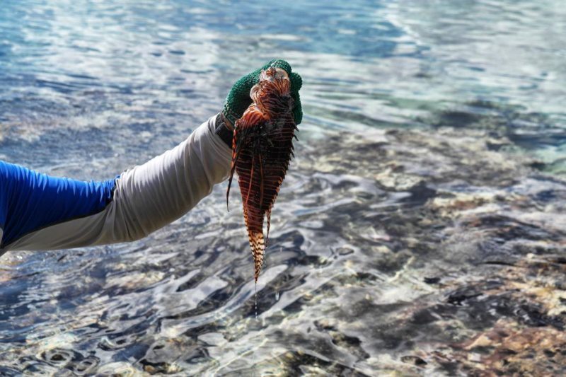 Geheimtipp Playa Larga oder auch: Der perfekte Tag auf Kuba
