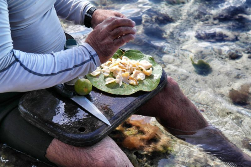 Geheimtipp Playa Larga oder auch: Der perfekte Tag auf Kuba