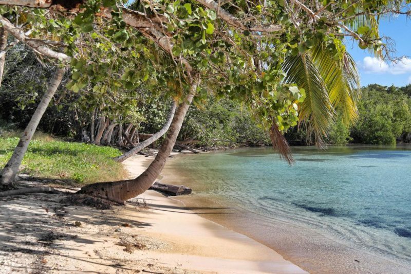 Geheimtipp Playa Larga oder auch: Der perfekte Tag auf Kuba