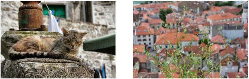 Dubrovnik & Montenegro Road Trip (140)