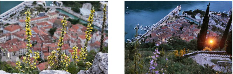 Dubrovnik & Montenegro Road Trip (141)