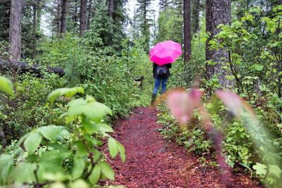 Westkanada Route für 2 Wochen + Tipps für die Nebensaison