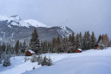 Schneeschuhwandern in Tirol