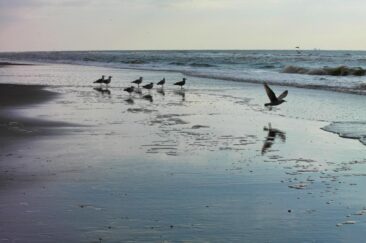 Urlaubstipps für Noordwijk aan Zee im Frühling