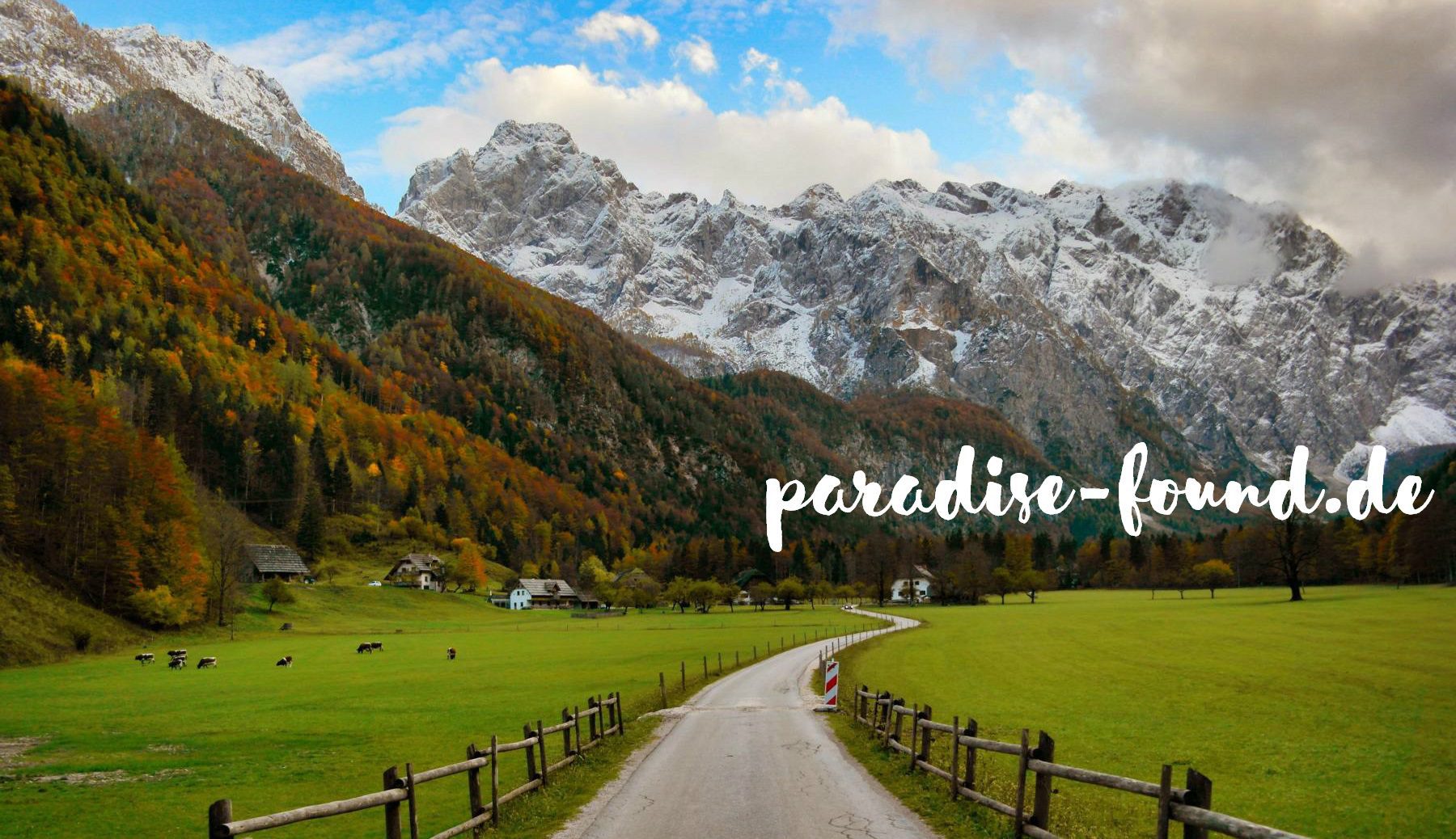Kooperationen mit paradise-found.de