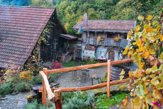 Schwarzwald wie anno dazumal - Bader Almhütte