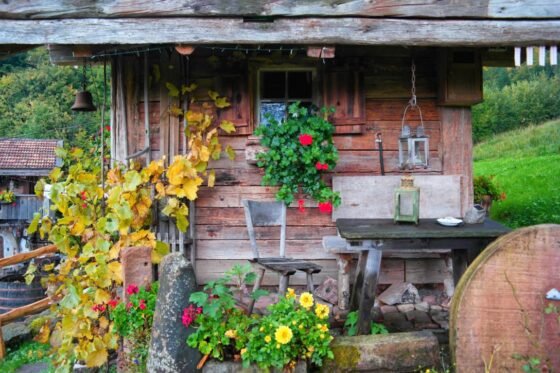 Schwarzwald wie anno dazumal - Bader Almhütte