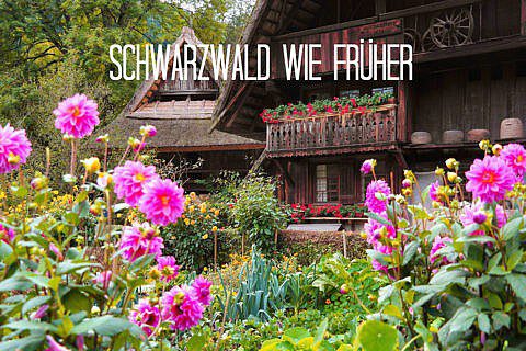 Schwarzwald wie anno dazumal Zuberbad, Ziegen-TV und das einfache Leben