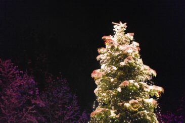 Das perfekte Adventswochenende in Baden-Württemberg