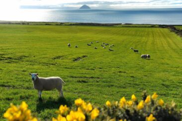 Isle of Arran