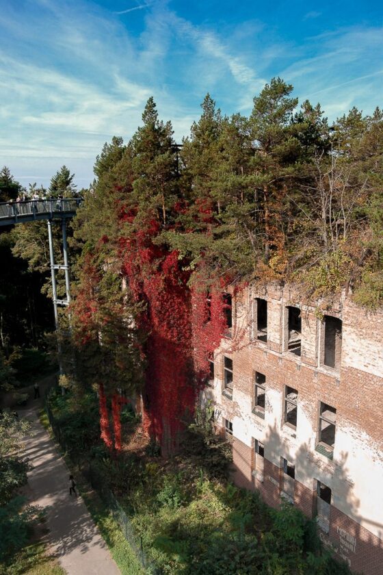 Das perfekte Wochenende im Fläming - Beelitz Heilstätten