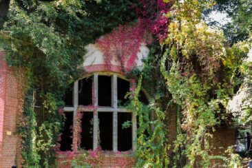 Das perfekte Wochenende im Fläming - Beelitz Heilstätten