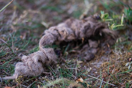 Besondere Ausflugsziele im Fläming