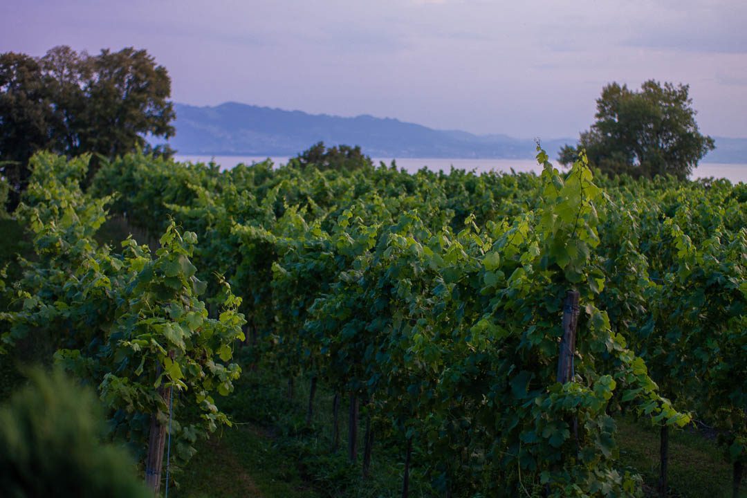 5 besondere Ausflugstipps für Lindau am Bodensee 