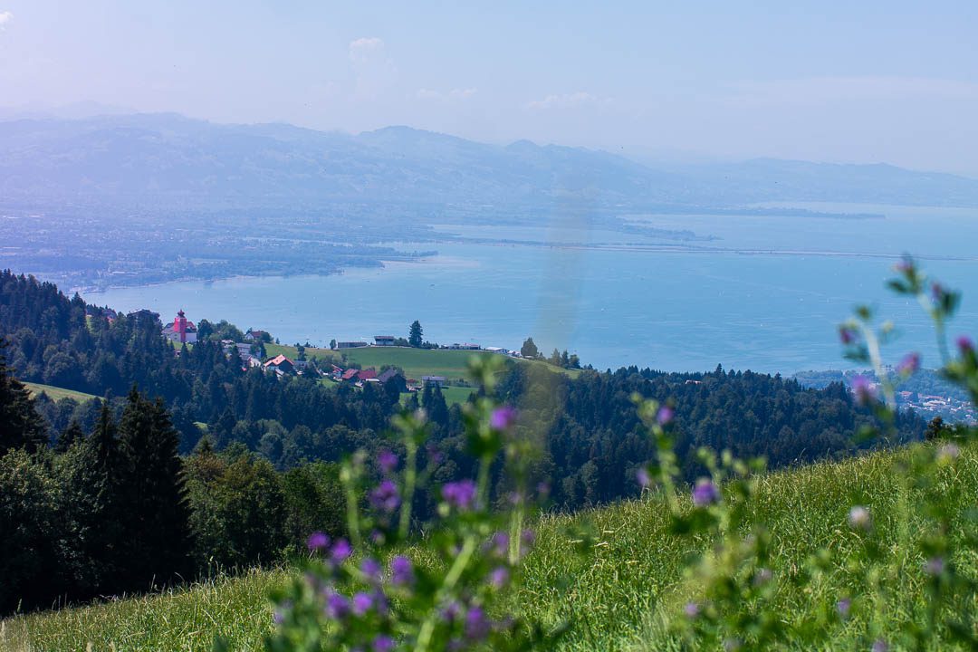 5 besondere Ausflugstipps für Lindau am Bodensee 